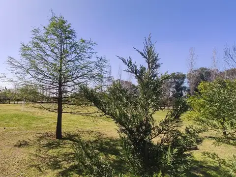 Terreno en Venta en Countries y Barrios Cerrados en Campana, USD 95.000