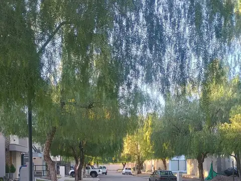 Terreno en Venta 28  mts Fondo