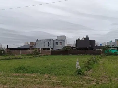 Esteban de Luca 1200