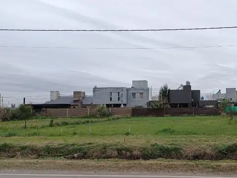 Esteban de Luca 1200