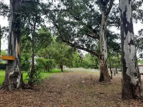 Terreno en Venta en Pehuen Co, Partido de Coronel de Marina Leonardo Rosales