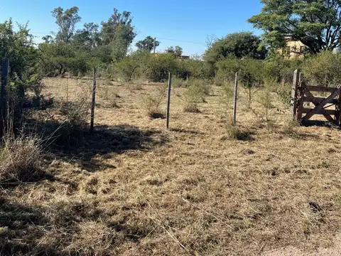Lote 5 manzana 100