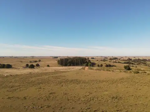 Chacra de 11.5ha en Maldonado con vista a las Sierras