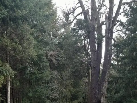 Terreno en Venta en Villa La Angostura, USD 90.000