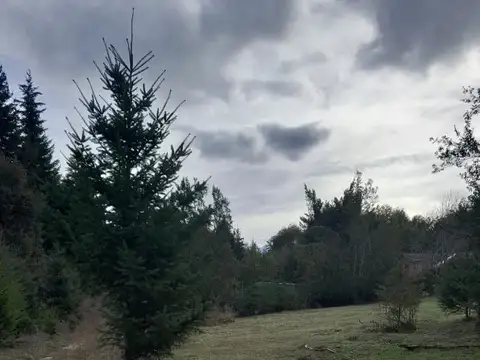 Terreno en Venta de 1000,0 m2