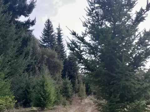 FINA PATAGONIA. Lote en venta de 1000m2 ubicado en Villa La Angostura