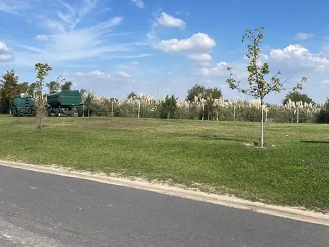 Terreno en Venta de 777,0 m2