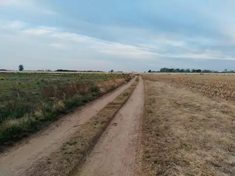 Campo en Venta de 8  ha