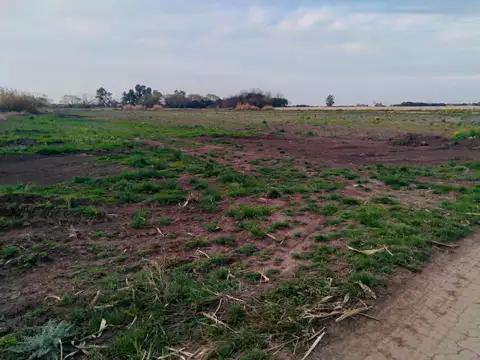 Av Ntra Señora Del Rosario 1100