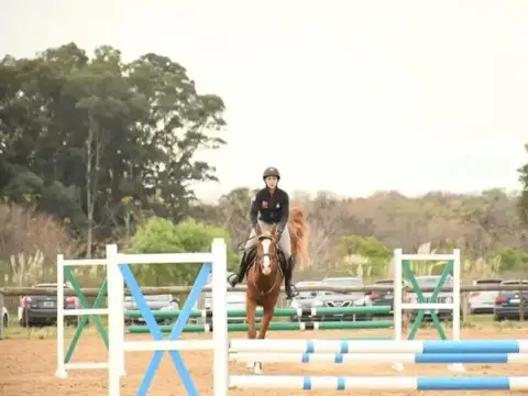 Terreno en Venta de 600,0 m2