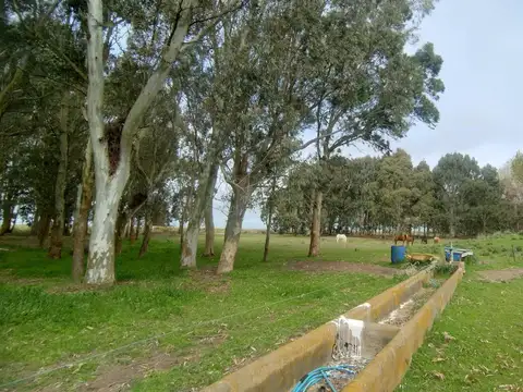 RUTA INTERBALNEARIA KILOMETRO 315 300