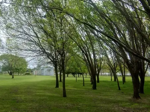 Venta de 2 Chacras sobre Ruta Interbalnearia – Partido de General Lavalle