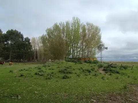RUTA INTERBALNEARIA KILOMETRO 315 300