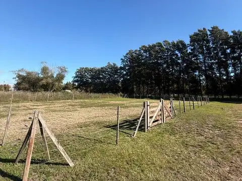 Terreno en Venta de 827,0 m2