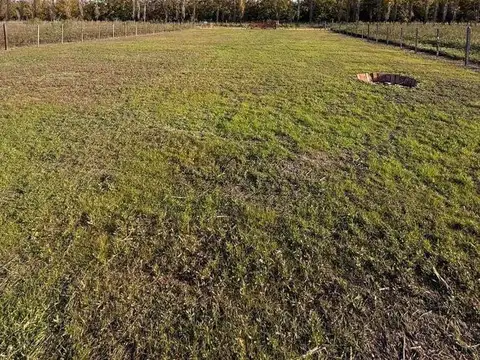 Terreno en Venta 20  mts Fondo