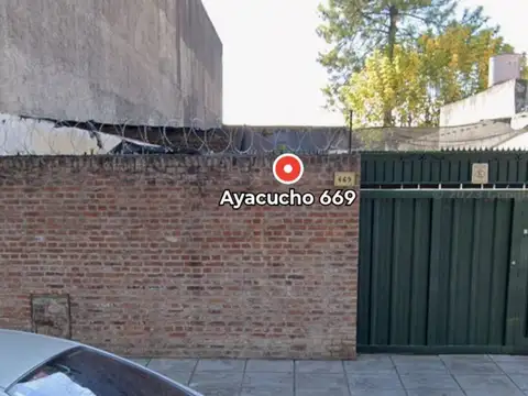 Importante Lote Florida