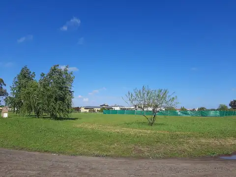 Terreno en Venta 40  mts Frente
