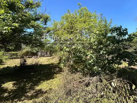Terreno en Venta de 638,0 m2