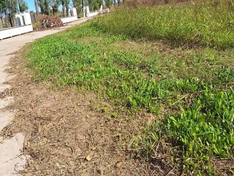 Terreno en Venta en Alvear, USD 120.000