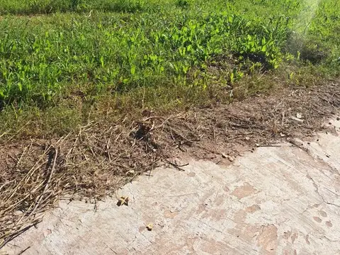 Terreno en Venta de 800,0 m2