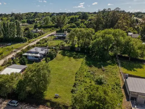 Sra. de la Concepción y Los Avellanos , Piso 0