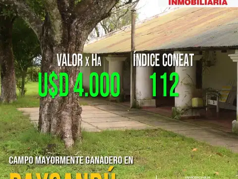 Campo en venta en Paysandú (355 Has )