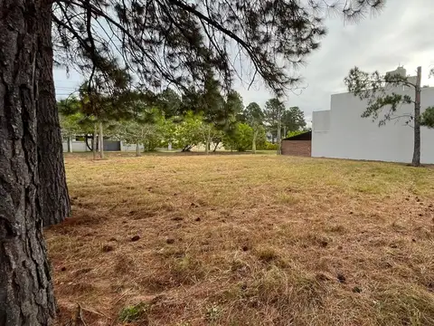 Terreno en Venta de 500,0 m2