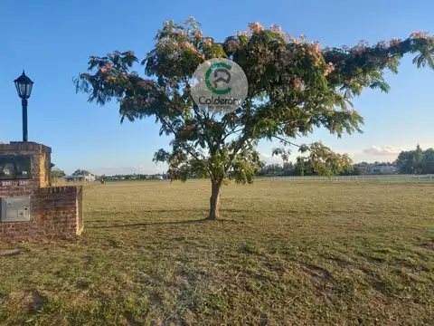 ruta 6 km 155