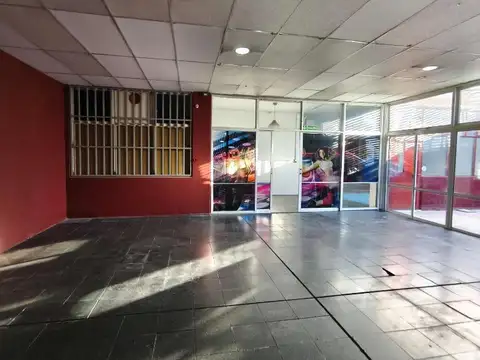 José Ingenieros 70