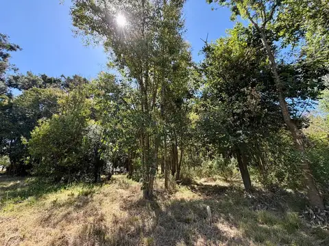 Juan B. Justo 1021, Lote 7