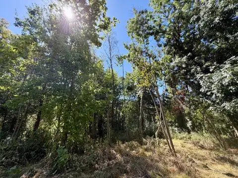 Lote en venta en Matheu    ID 5924