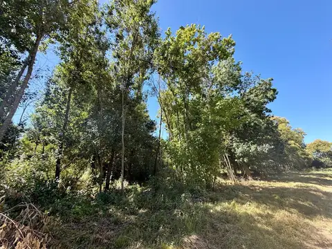 Terreno en Venta de 322,0 m2