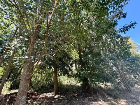 Terreno en Venta 14  mts Fondo