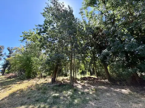 Juan B. Justo 1021, Lote 7