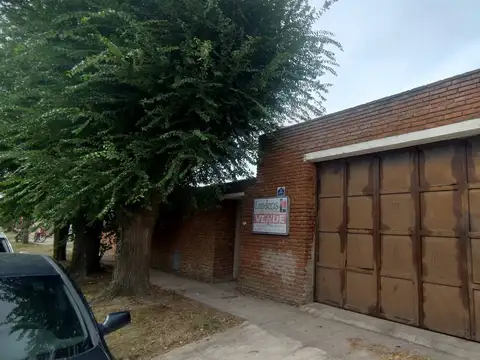 Olmos 100