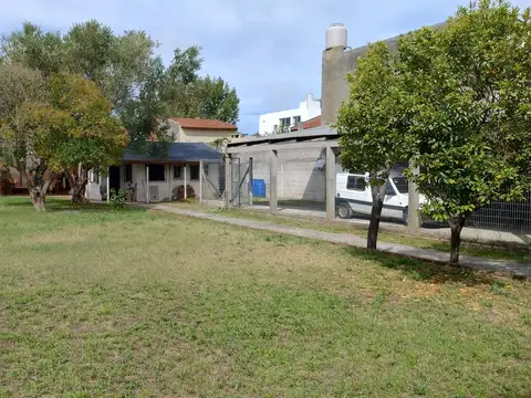 Olmos 100
