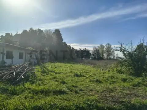 Los Platanos y Las Palmeras