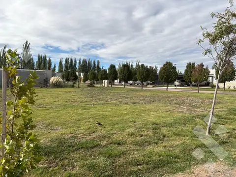 Terreno en Cipolletti
