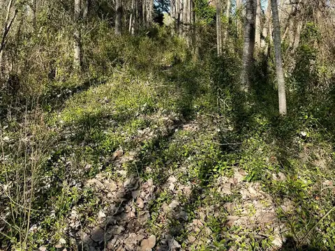 Rio / Arroyo Merlo E.Rios 100