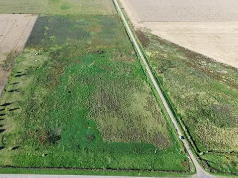 EN VENTA CAMPO 11,5 HECTAREAS 100% AGRICOLA