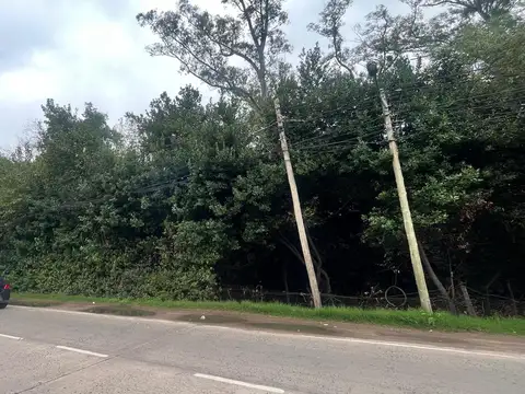Terrenos comerciales únicos en venta sobre Panamericana. Maschwitz
