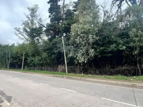 Terreno comercial (únicos)en venta sobre Colectora Este Panamericana Ramal Campana,Maschwitz