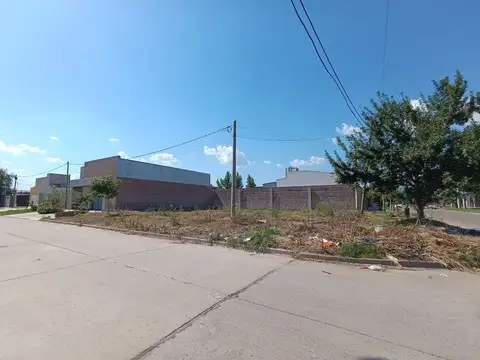 Macias