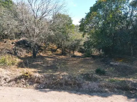 Agua de Oro