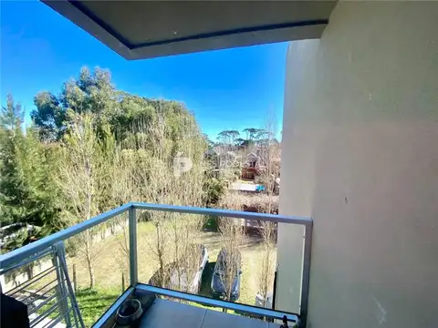 Pinares próximo a la rambla P. 2