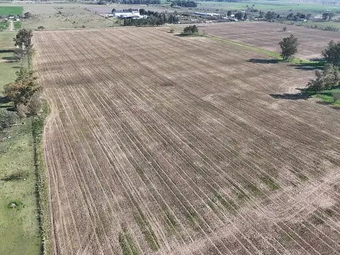 Campo en Venta de 66  ha