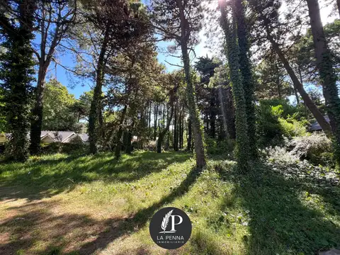 LOTE EN VENTA EN PINAMAR TRIDENTE