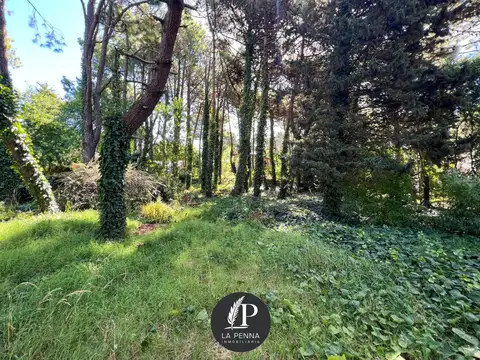 LOTE EN VENTA EN PINAMAR TRIDENTE