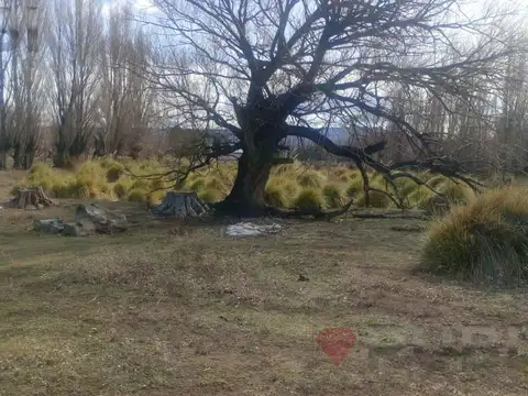 Santo Tomas, Collon Cura, Neuquen