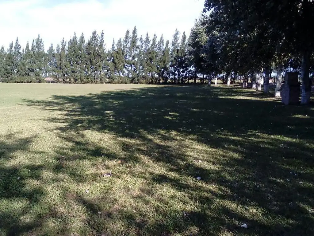 HARAS DEL SUR II Nº 229